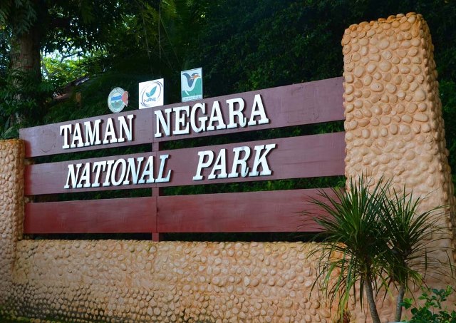 TAMAN-NEGARA-KUALA-TAHAN